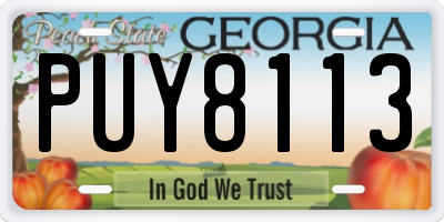 GA license plate PUY8113
