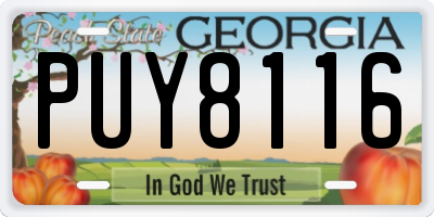 GA license plate PUY8116