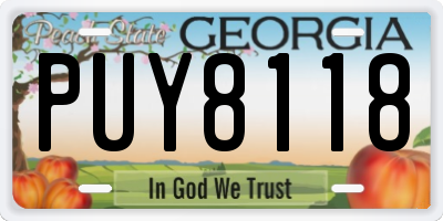 GA license plate PUY8118