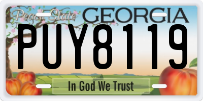GA license plate PUY8119