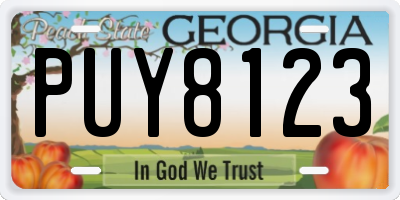 GA license plate PUY8123