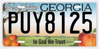 GA license plate PUY8125