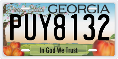 GA license plate PUY8132