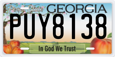 GA license plate PUY8138
