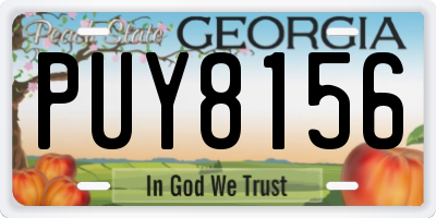 GA license plate PUY8156