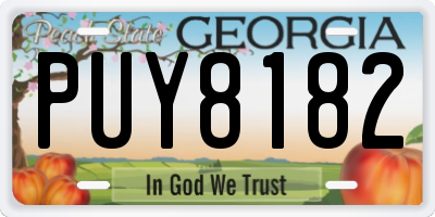 GA license plate PUY8182