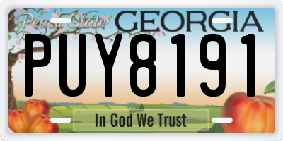 GA license plate PUY8191