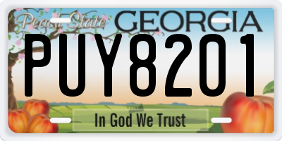 GA license plate PUY8201