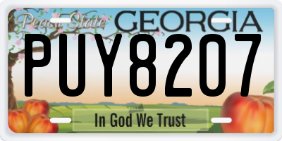 GA license plate PUY8207
