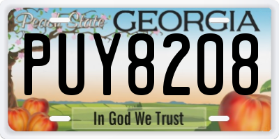 GA license plate PUY8208
