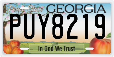 GA license plate PUY8219