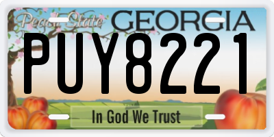 GA license plate PUY8221