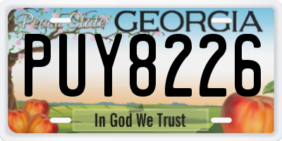 GA license plate PUY8226