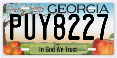 GA license plate PUY8227