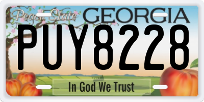 GA license plate PUY8228