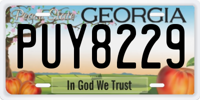 GA license plate PUY8229