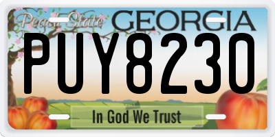 GA license plate PUY8230