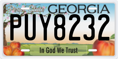 GA license plate PUY8232