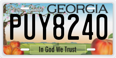 GA license plate PUY8240