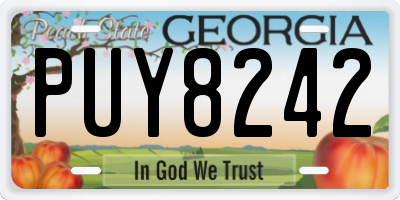 GA license plate PUY8242