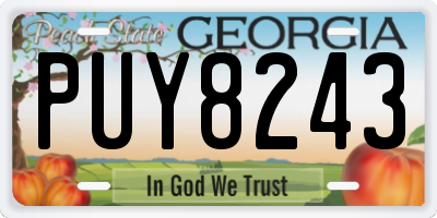 GA license plate PUY8243