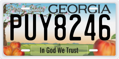 GA license plate PUY8246