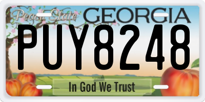 GA license plate PUY8248