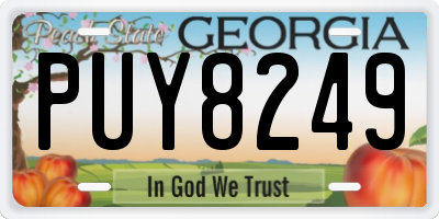 GA license plate PUY8249