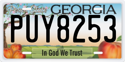 GA license plate PUY8253