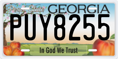 GA license plate PUY8255