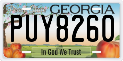 GA license plate PUY8260