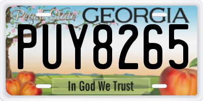 GA license plate PUY8265