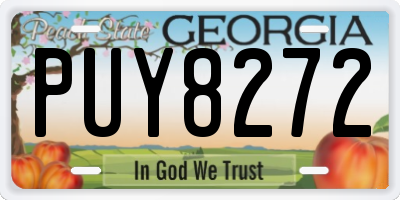 GA license plate PUY8272