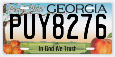 GA license plate PUY8276