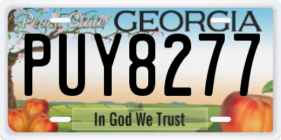 GA license plate PUY8277