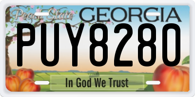GA license plate PUY8280