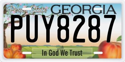 GA license plate PUY8287