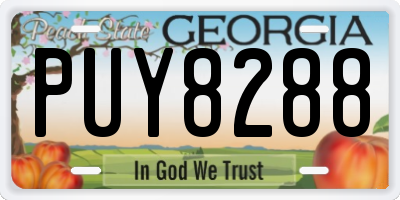 GA license plate PUY8288
