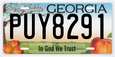 GA license plate PUY8291