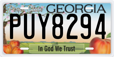 GA license plate PUY8294