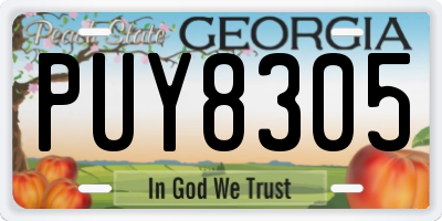 GA license plate PUY8305