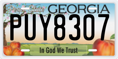 GA license plate PUY8307