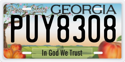 GA license plate PUY8308