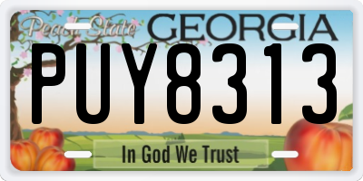 GA license plate PUY8313