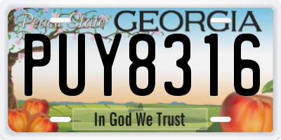 GA license plate PUY8316