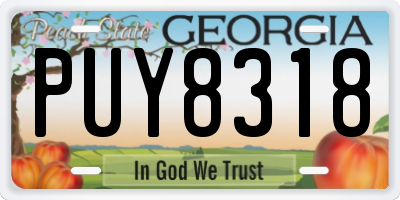 GA license plate PUY8318