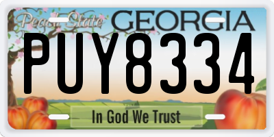 GA license plate PUY8334