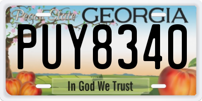 GA license plate PUY8340