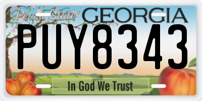 GA license plate PUY8343