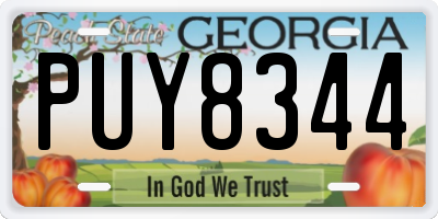 GA license plate PUY8344
